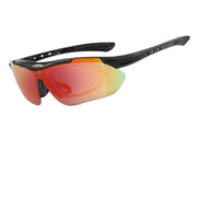 Polarized Shooting Glasses